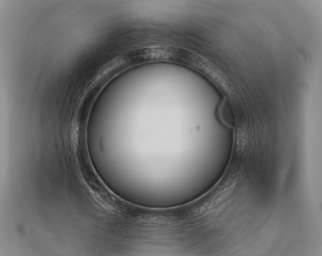 X0000112050722200908111349