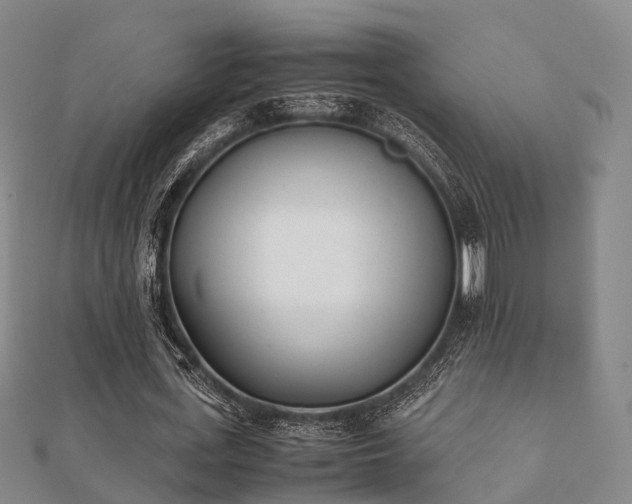 X0000112050723200908111349