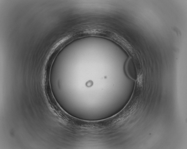 X0000112050724200908111349