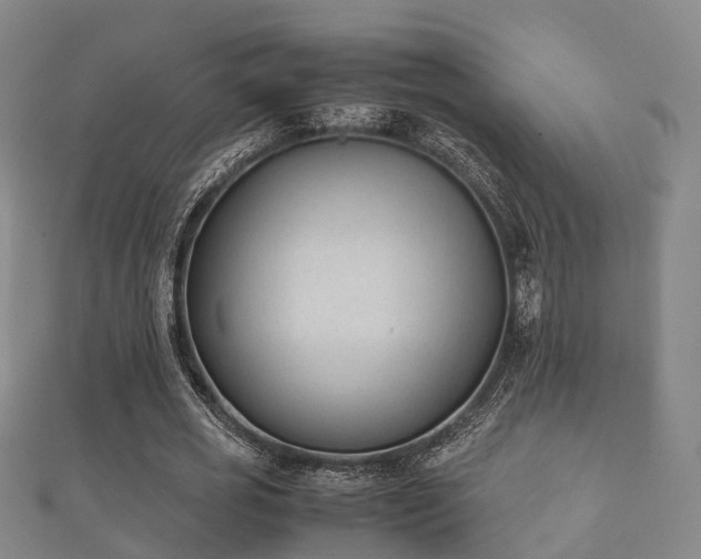 X0000112050725200908111349