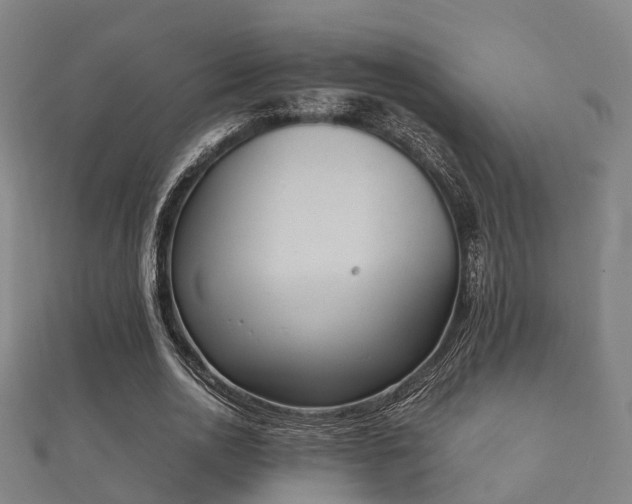 X0000112050726200908111349