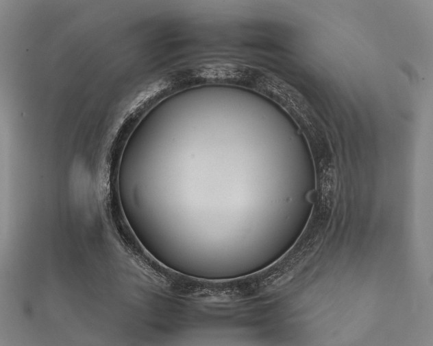 X0000112050727200908111349