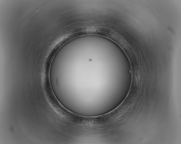 X0000112050728200908111349