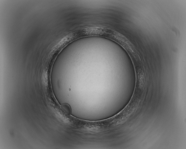 X0000112050729200908111349