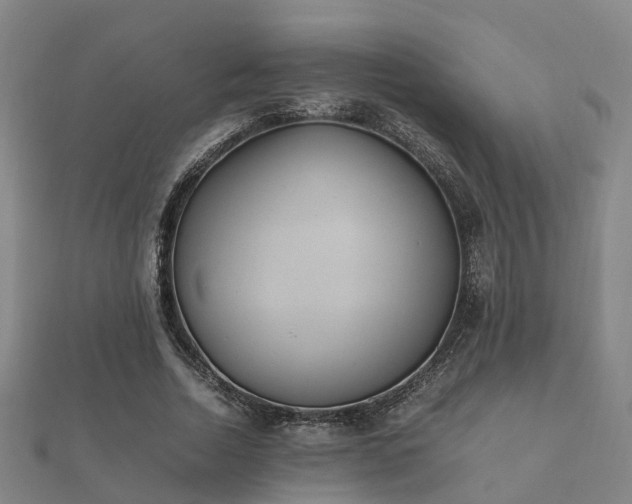 X0000112050730200908111349