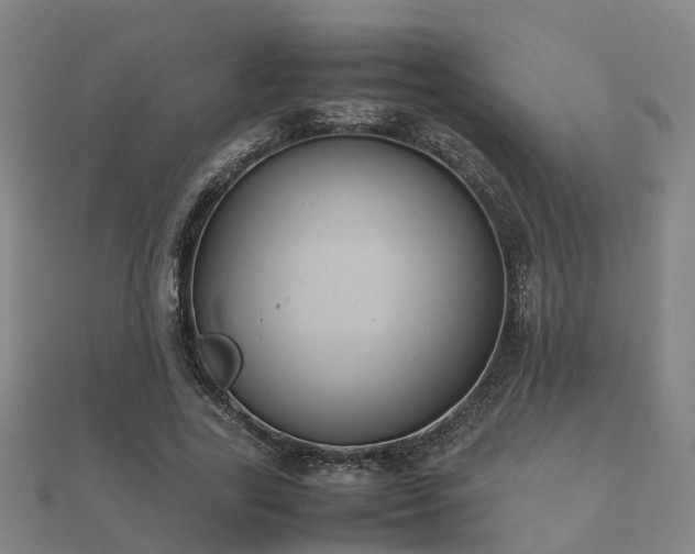 X0000112050731200908111349