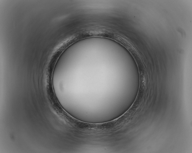 X0000112050732200908111349