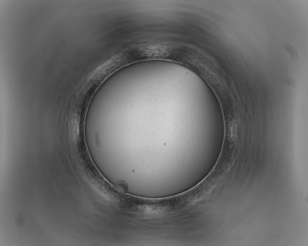 X0000112050733200908111349