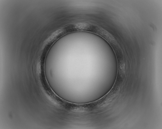 X0000112050734200908111349