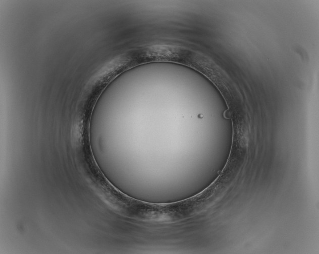 X0000112050735200908111349