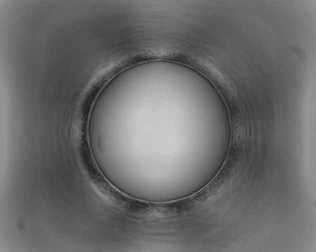 X0000112050736200908111349