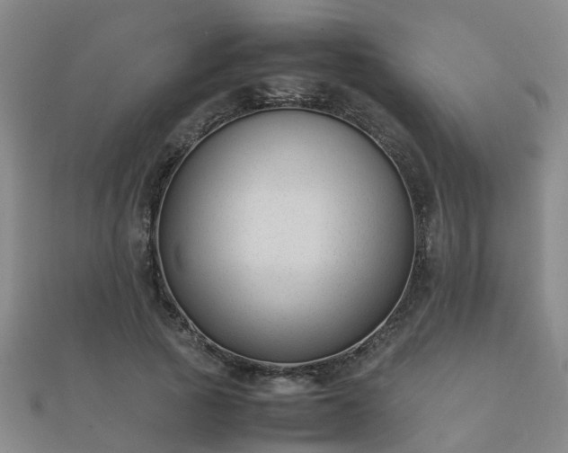 X0000112050737200908111349