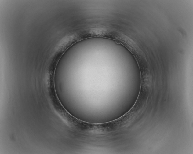 X0000112050738200908111349