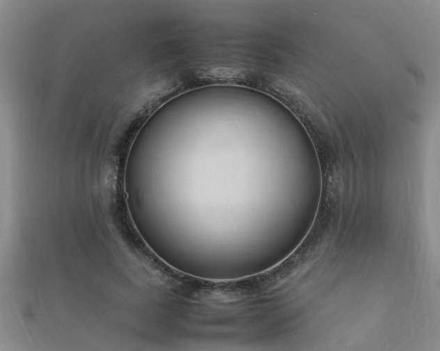 X0000112050739200908111349