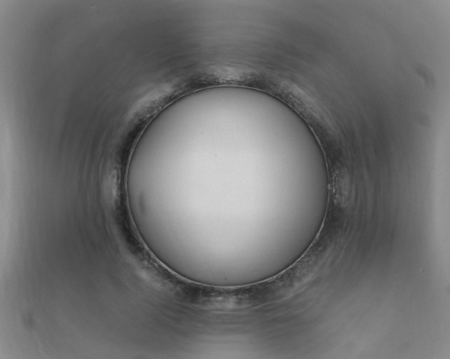 X0000112050740200908111349