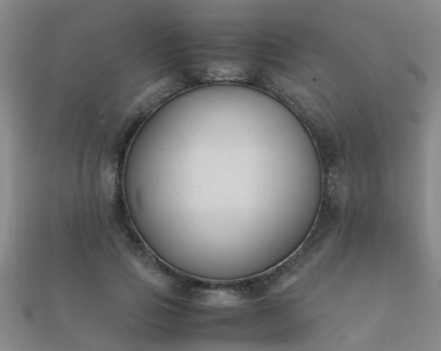 X0000112050741200908111349