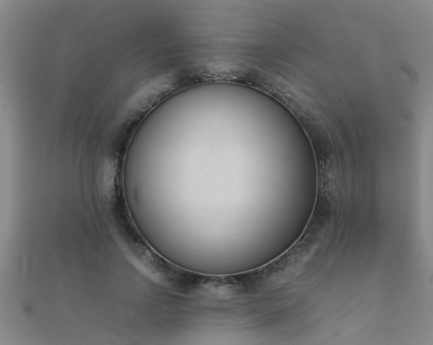 X0000112050742200908111349