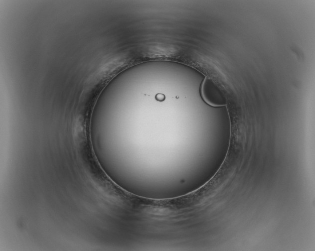 X0000112050743200908111349