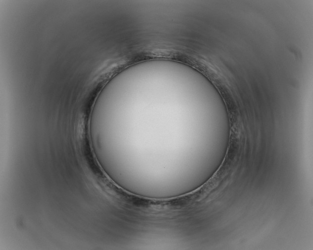 X0000112050744200908111349