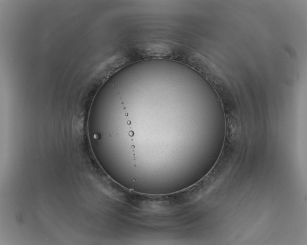 X0000112050745200908111349