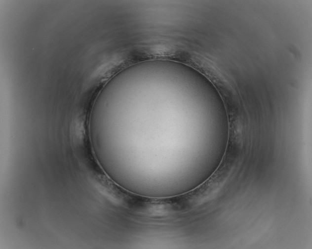 X0000112050746200908111349