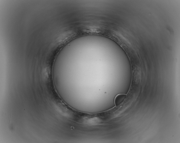 X0000112050747200908111350