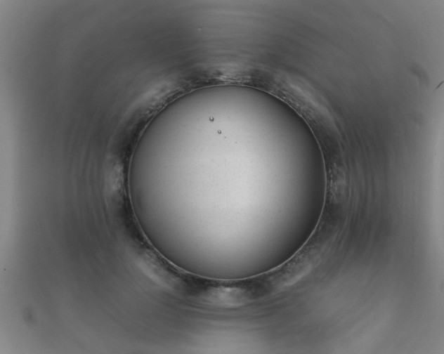 X0000112050748200908111350