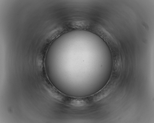 X0000112050749200908111350