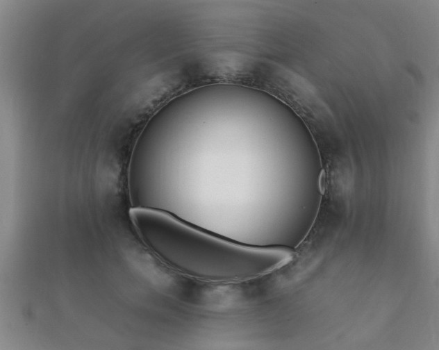 X0000112050750200908111350