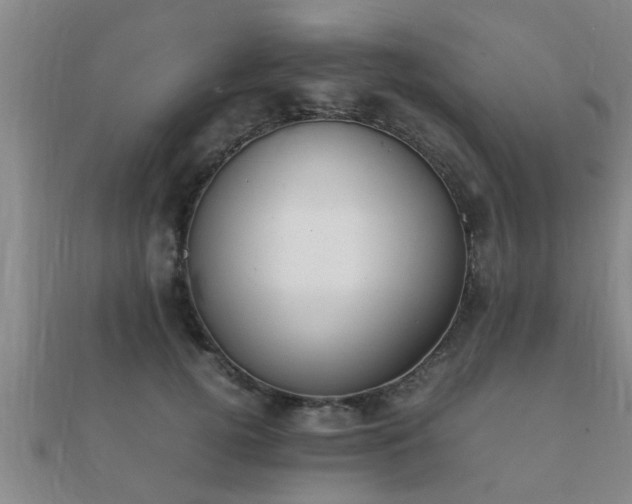 X0000112050752200908111350