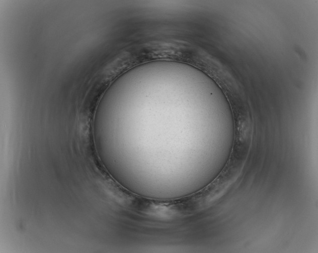 X0000112050753200908111350