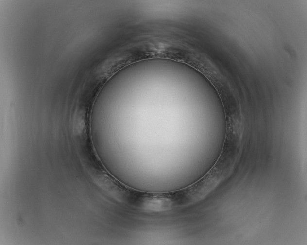 X0000112050754200908111350