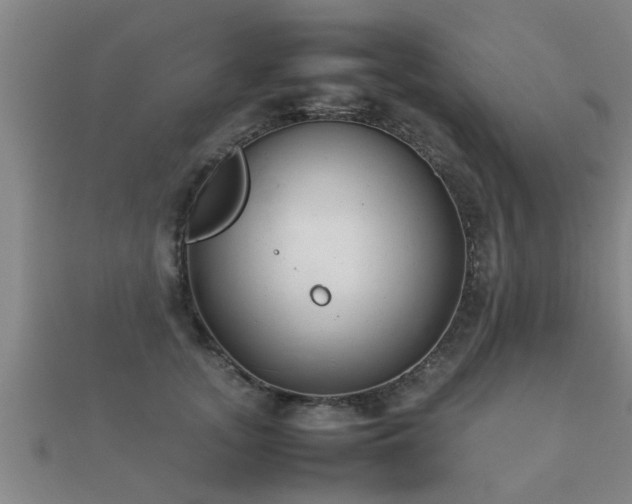 X0000112050755200908111350