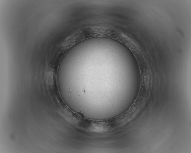 X0000112050757200908111350