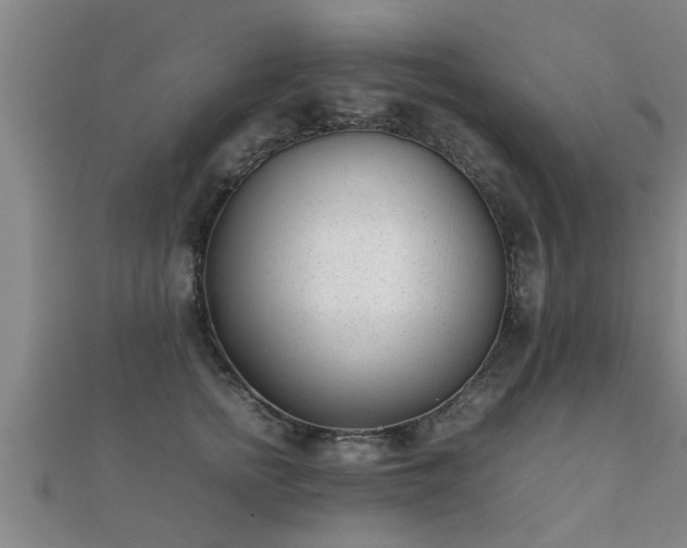 X0000112050758200908111350