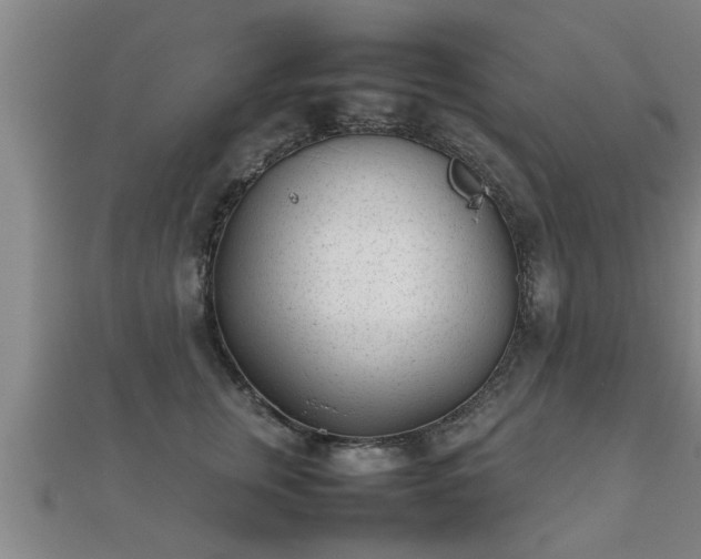 X0000112050759200908111350