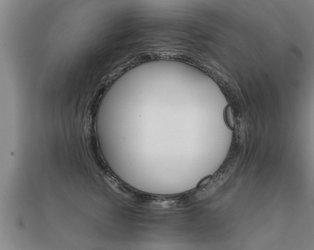 X0000112050760200908111350