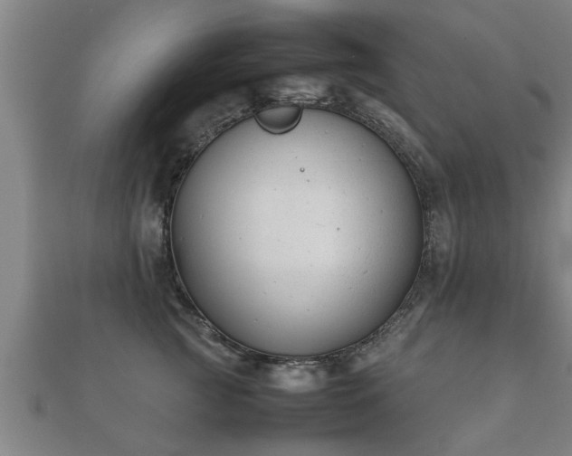 X0000112050761200908111350