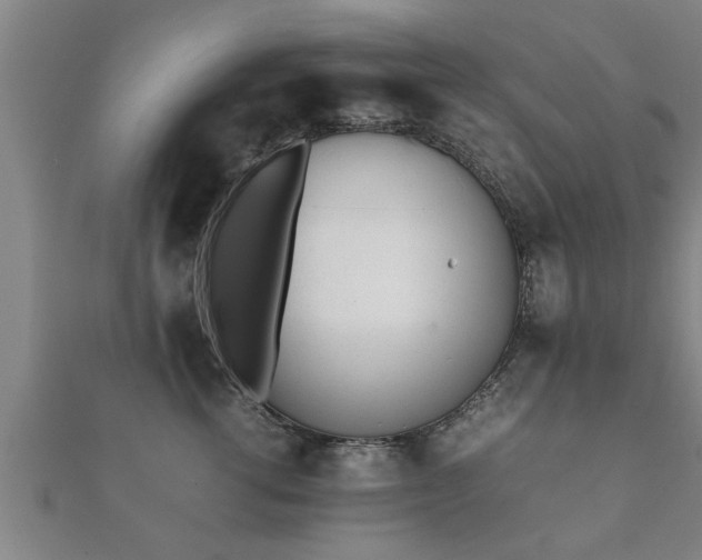 X0000112050762200908111350