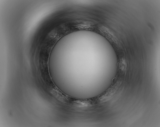 X0000112050763200908111350