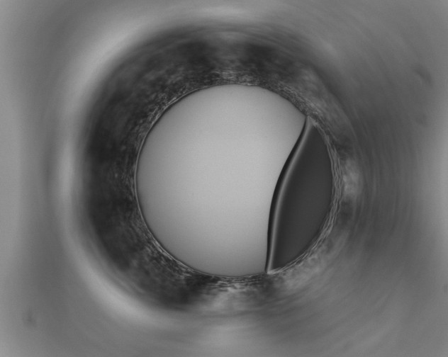 X0000112050764200908111350