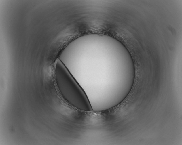 X0000112050768200908111350