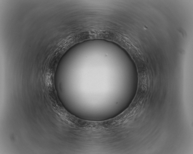 X0000112050770200908111349