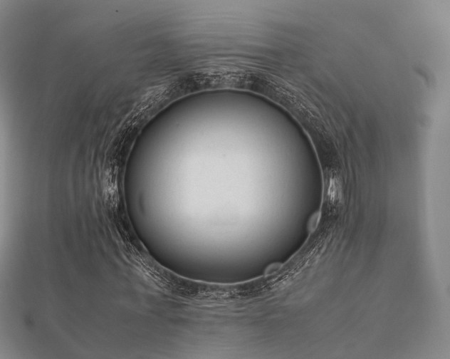 X0000112050771200908111349