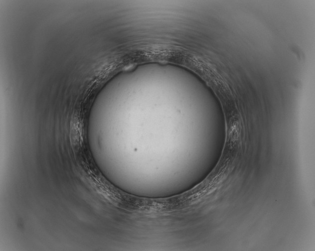 X0000112050772200908111349