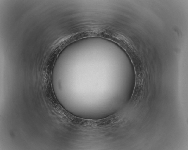 X0000112050773200908111349