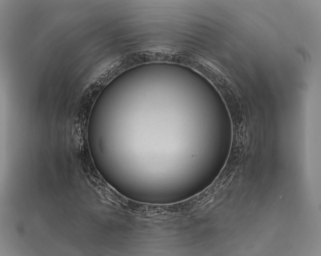 X0000112050774200908111349