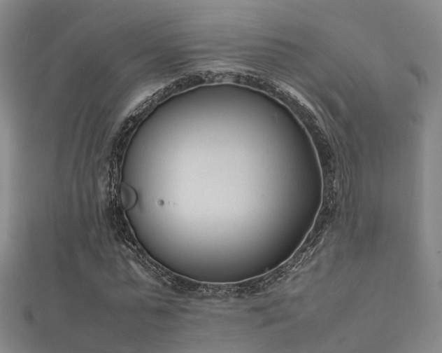 X0000112050775200908111349