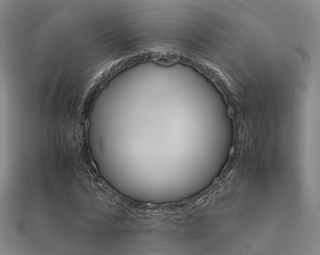 X0000112050776200908111349