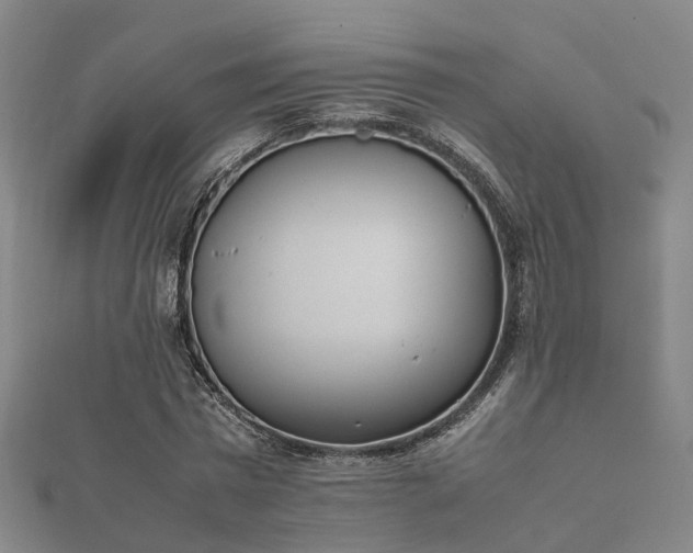 X0000112050777200908111349